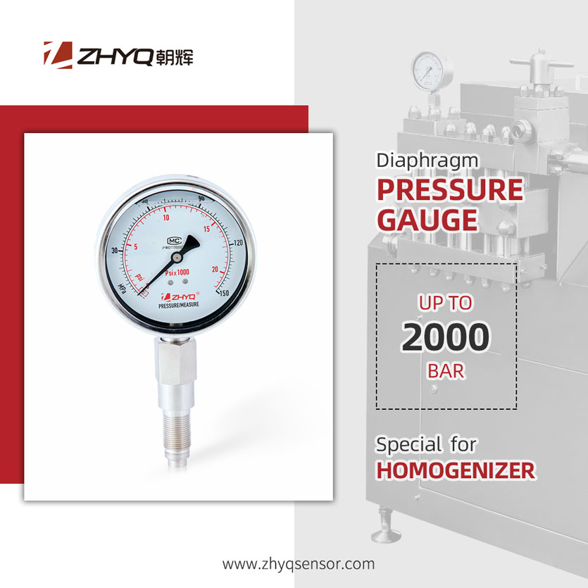 Homogenizer Sanitary Pressure Gauge