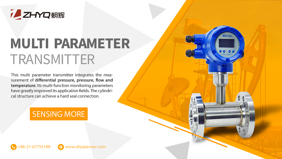 multi-parameter transmitter